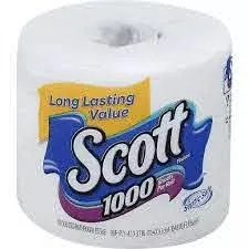 Scott Paper Company